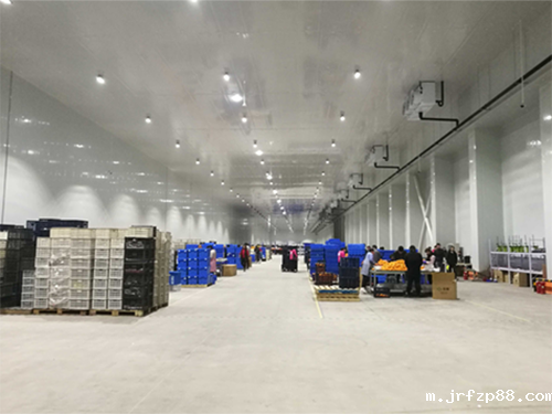 物流冷库设计规划 物流冷库设计规划