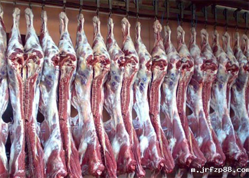 牛肉冷冻库建造 牛肉冷冻库建造