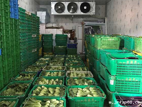 食品物流冷藏库建造安装费用 食品物流冷藏库建造安装费用