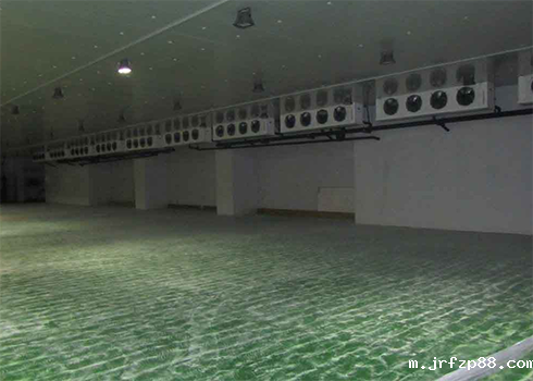 物流低温冷藏库建造安装