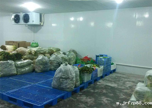 果蔬保鲜冷藏库建造 果蔬保鲜冷藏库建造