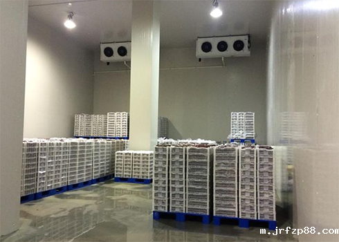 开云体育最新下载软件建造安装 开云体育最新下载软件建造安装