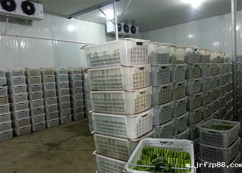 保鲜冷库保养规范 保鲜冷库保养规范