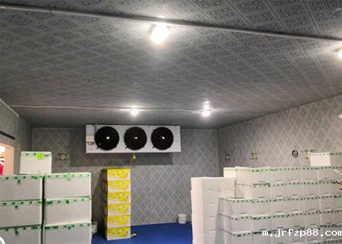 保鲜冷库建造要求 保鲜冷库建造要求