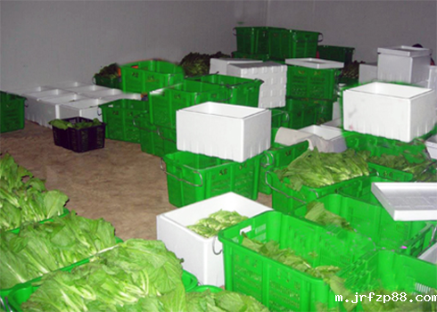 食品低温冷藏库建造费用 食品低温冷藏库建造费用