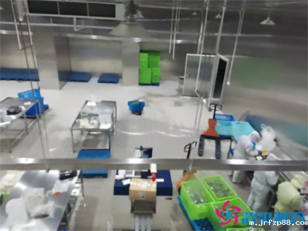 -30℃速冻水饺冷库安装