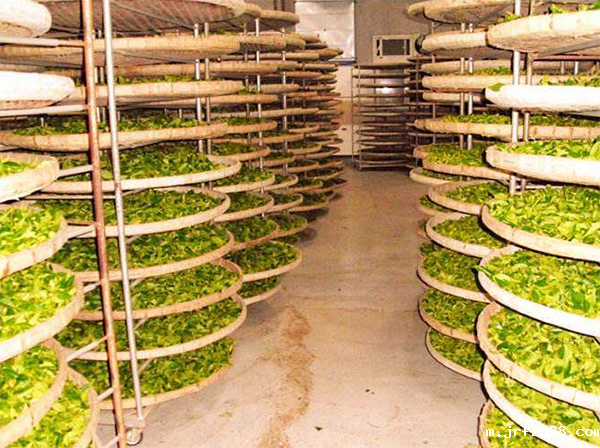 茶叶低温冷藏库建造 茶叶低温冷藏库建造