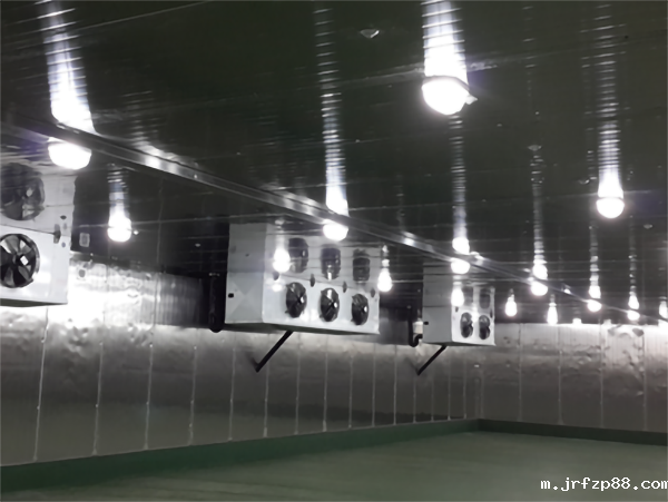 鸭梨保鲜库建造 鸭梨保鲜库建造