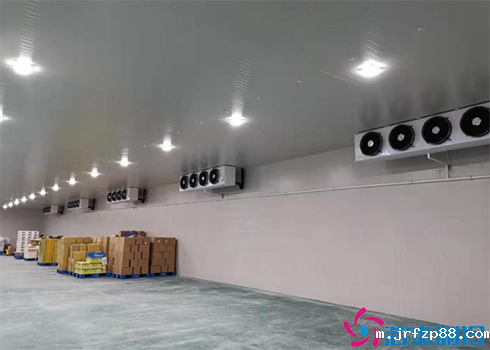 冷库建造公司