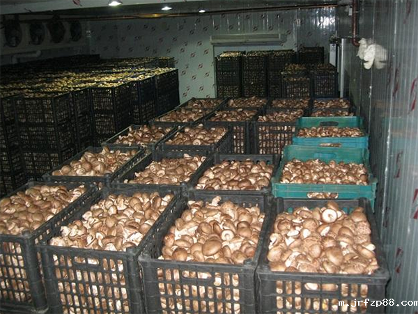 蔬菜冷藏保鲜库建造安装