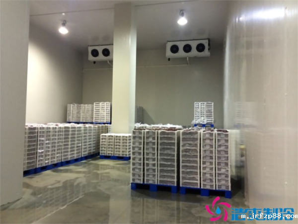 造食品低温仓储冷库 造食品低温仓储冷库