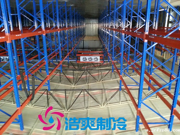 建造安装5000㎡鸡排低温冷藏库造价费用是多少？