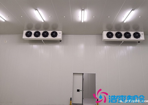 建造一个冰淇淋冷库造价需要多少钱? 建造一个冰淇淋冷库造价需要多少钱?