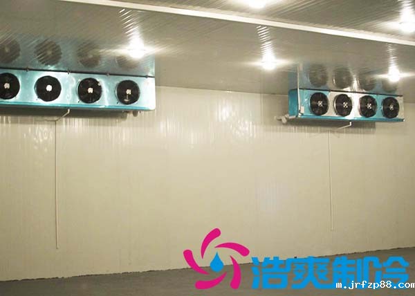 建造一间海参低温冷冻库大约需要多少费用？