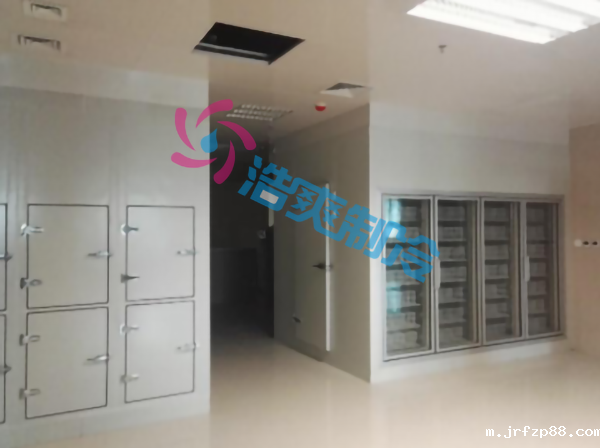 果蔬保鲜冷库建造有哪些注意事项？常见蔬菜冷库储存温湿度是多少？