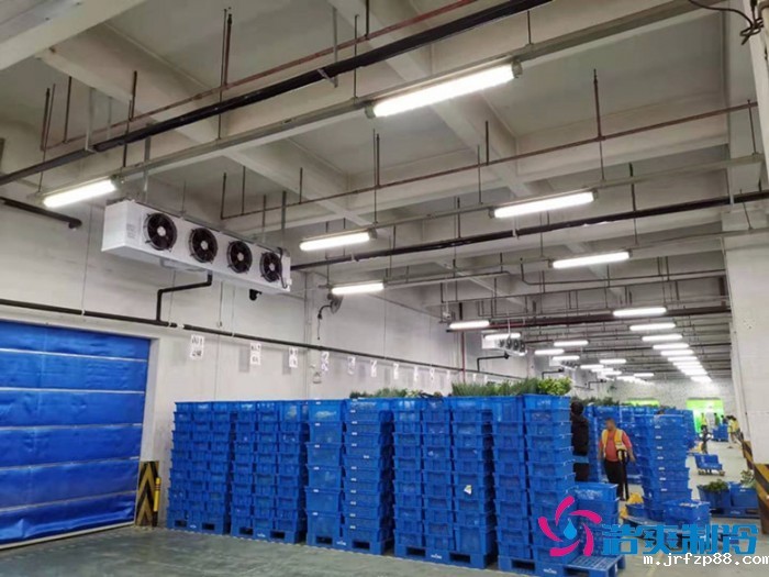 浩爽制冷,食品冷冻库