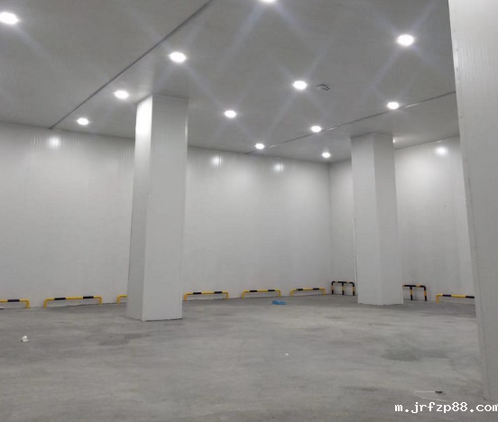 远安县远华食品二期冷库工程案例