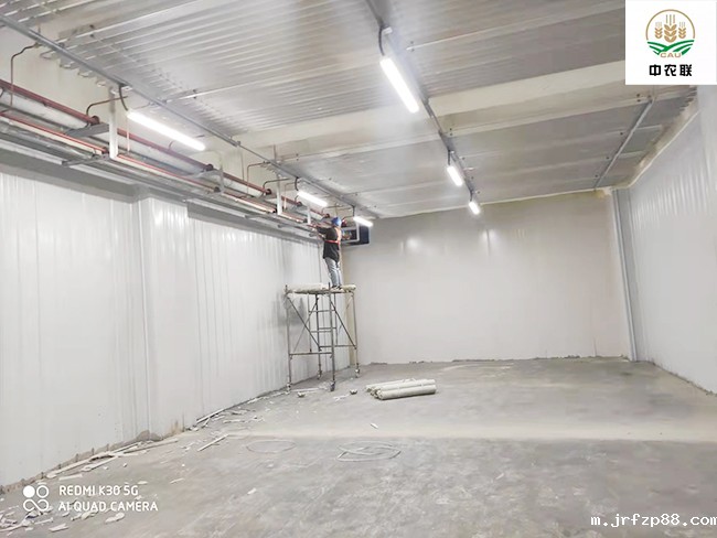 江苏农产品国际物流港22600m³冷库制冷与保温工程案例 江苏农产品国际物流港22600m³冷库制冷与保温工程案例