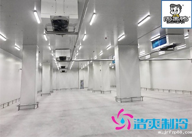 湖北周黑鸭80000m³生产加工成品低温物流冷库施工工程案例
