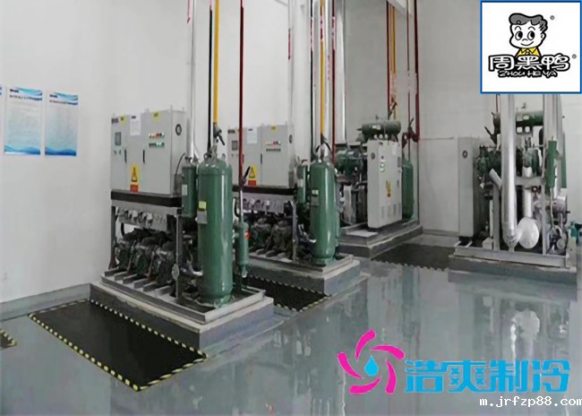 湖北周黑鸭80000m³生产加工成品低温物流冷库施工工程案例