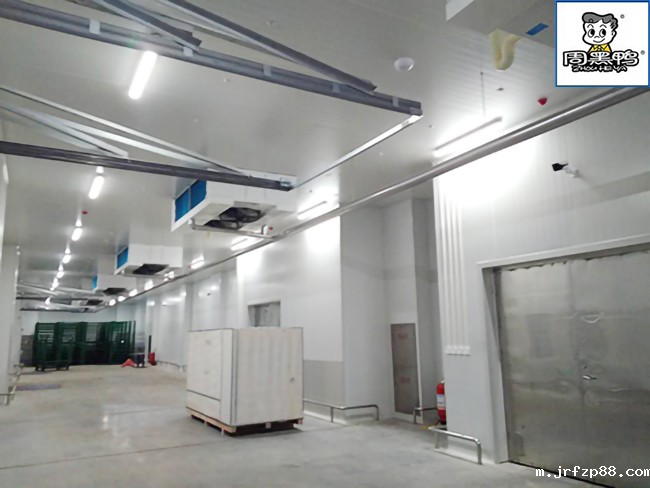 湖北周黑鸭80000m³生产加工成品低温物流冷库施工工程案例