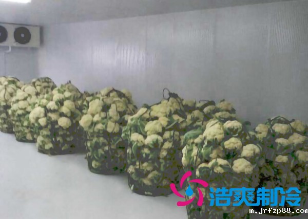 云南500平米气调冷库安装造价大概是多少?_浩爽制冷 云南500平米气调冷库安装造价大概是多少?_浩爽制冷