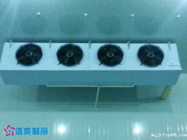 干果保鲜冷库安装