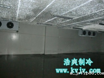 成都环球会展配送中心大型冷库