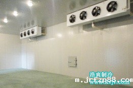 2676立方米罗田县食为天板栗气调冷库