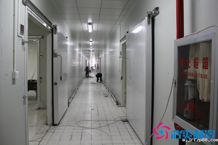 江苏通达1500㎡农产品低温冷藏冷冻库建造