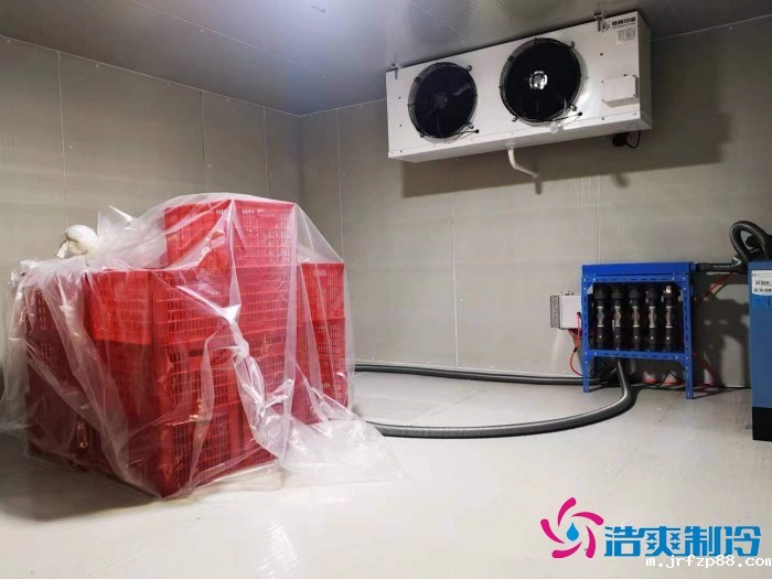 浙江“仙居杨梅”2000m³保鲜冷库