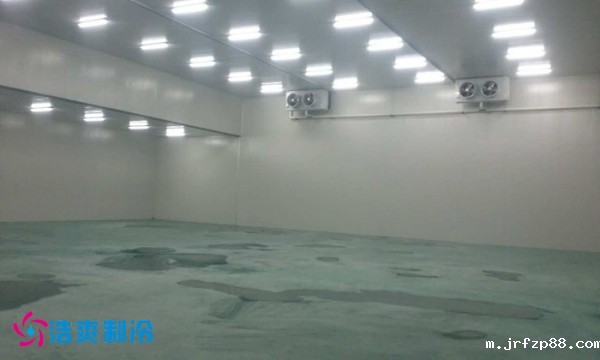 浙江富阳振翔35000m³大型冷冻库建造 浙江富阳振翔35000m³大型冷冻库建造