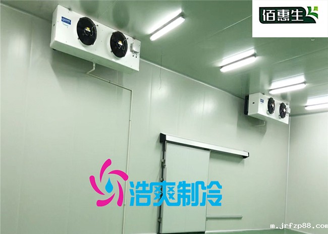 内蒙古佰惠生5806m³鲜酵母食品冷藏库建造工程案例