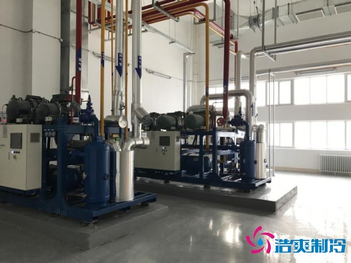 新疆石河子市新伟盟农畜产品6000立方气调库工程案例