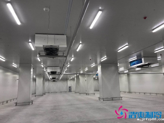 新疆新伟盟农畜产品6000立方气调库建造