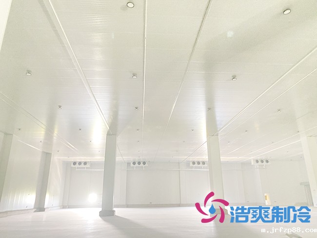 冷库安装前需要清楚了解哪些基本信息?_浩爽制冷 冷库安装前需要清楚了解哪些基本信息?_浩爽制冷