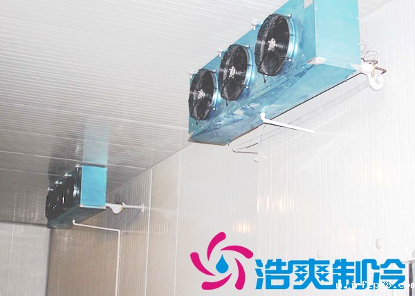 花店建一个鲜花冷库需要多少钱?_浩爽制冷 花店建一个鲜花冷库需要多少钱?_浩爽制冷