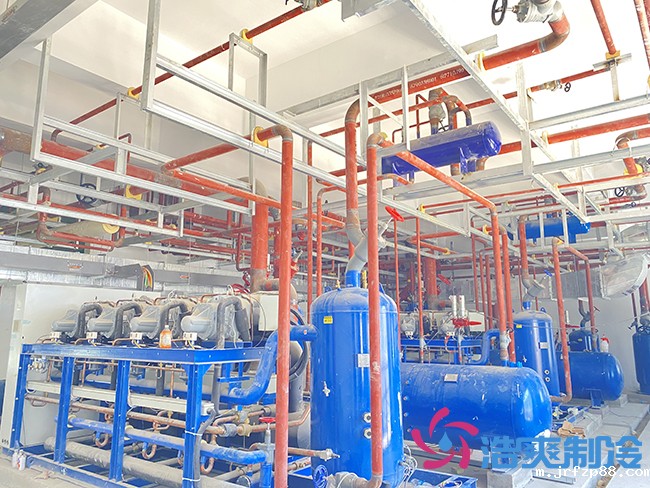 50000立方杭州盒马生鲜开云体育最新下载软件工程