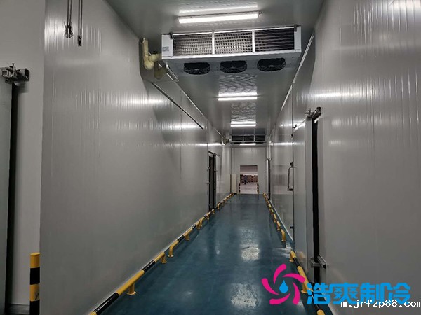 上海诺心实业38000m³食品原料冷库建造