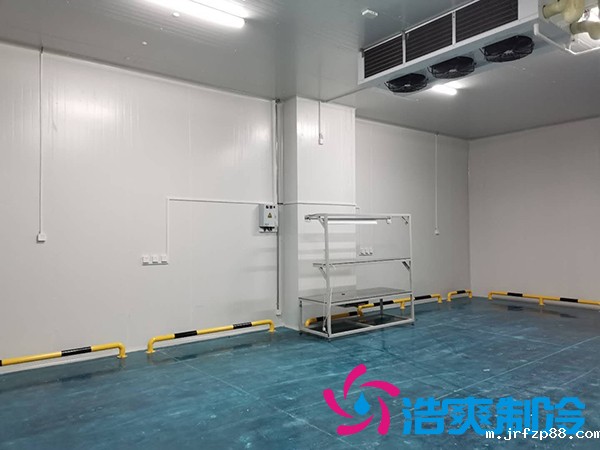 上海诺心实业38000m³食品原料冷库建造