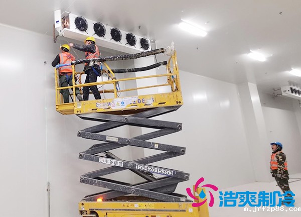 建设农产品低温冷冻库安装造价预算多少钱?-浩爽制冷 建设农产品低温冷冻库安装造价预算多少钱?-浩爽制冷