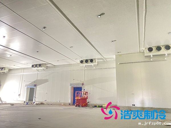 北京开云体育最新下载软件安装方案-浩爽制冷