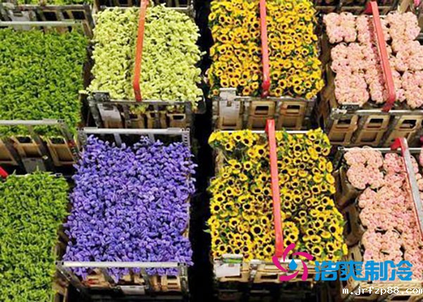 花卉冷库安装预算造价多少钱？-浩爽制冷