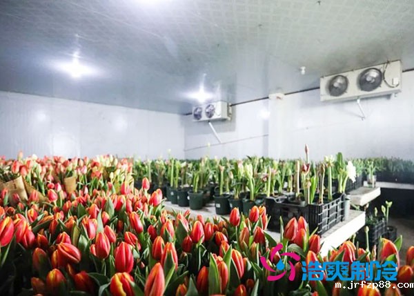 花卉冷库安装预算造价多少钱？-浩爽制冷