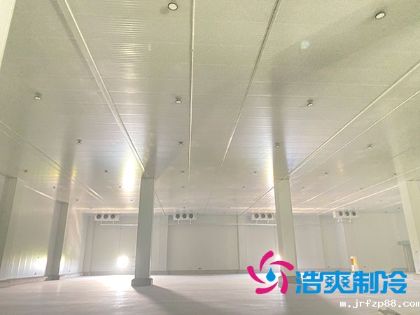 中温冷库多少钱