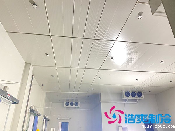 岳阳生鲜开云体育最新下载软件建造价格多少钱?-浩爽制冷 岳阳生鲜开云体育最新下载软件建造价格多少钱?-浩爽制冷