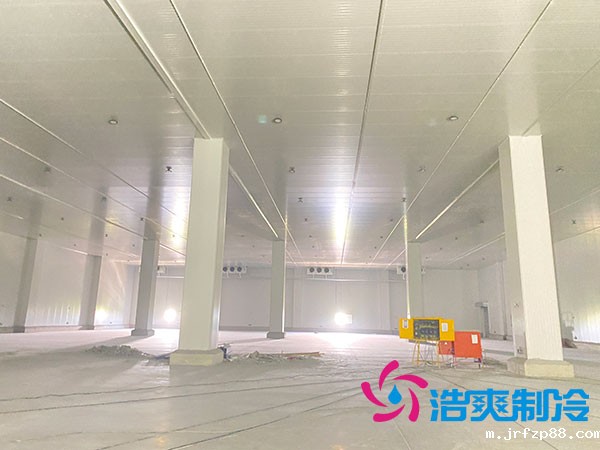 江西速冻开云体育最新下载软件造价多少钱一平方-浩爽制冷