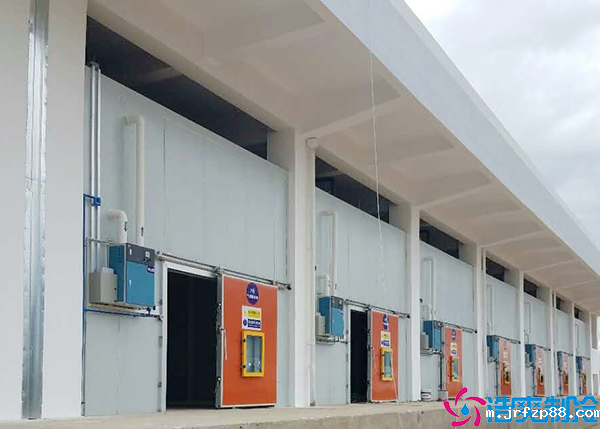 开云体育最新下载软件