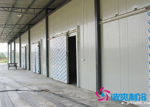 两千吨冷库投资成本多少钱合适?大概需要多少面积?-浩爽制冷