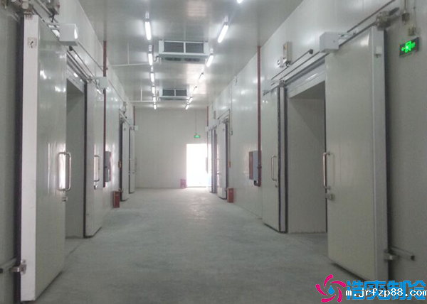 水产海鲜速冻库